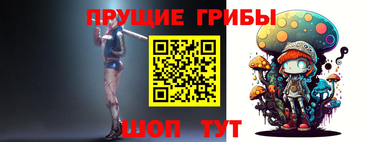 Азнакаево  Псилоцибиновые грибы Cubensis  Вход с VPN 