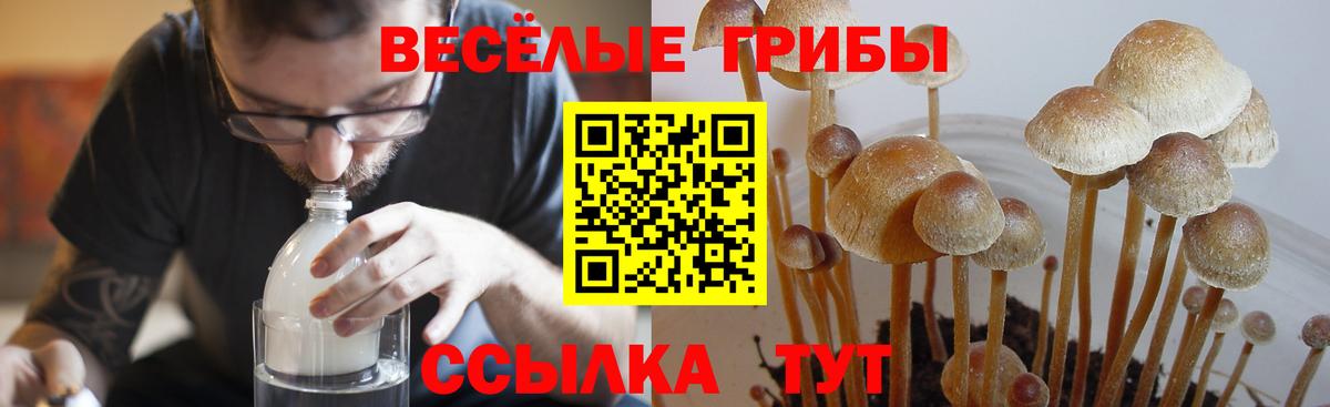 Псилоцибиновые грибы ЛСД Азнакаево
